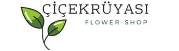 Çiçek Rüyası logo